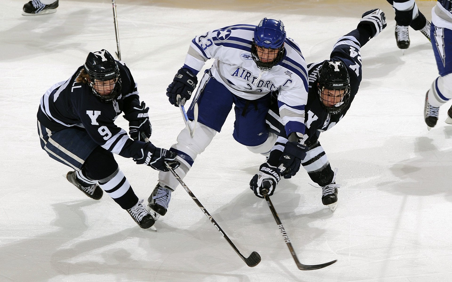 九游（jiuyou.com）游戏-“全力出击！四川省体育馆自由搏击选手激战正酣”