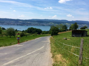 九游体育app-“缆绳滑水：东桃花岛赛场呈现全新水上运动魅力”