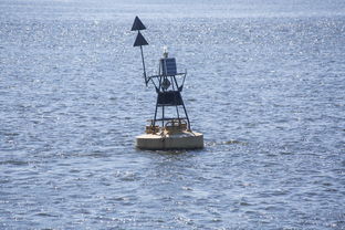 九游娱乐官网-中方蝶泳入水角度更锐利？图解数据分析，中国蝶泳厉害吗